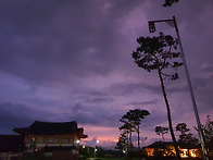 집으로 가는 길