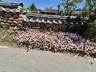 제2기 33차 경주남산
