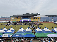 "10월3일 보령시 체육대회..
