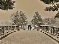 눈내리던 날 분당 중앙공원