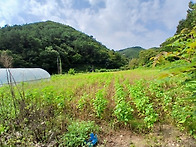 공주조평리전원주택,농막부..