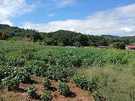 공주산정리사업부지(7,56..