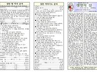 성탄대축일