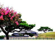 경주
