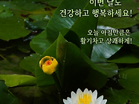 6월1일 출발