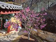 오산 사성암 답사