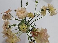 문경 출렁다리