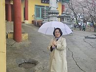25년4월12일~13일 안면도..