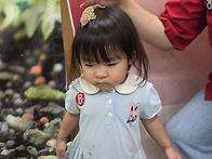햄스터와 도마뱀을 만났어..