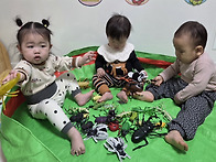 달님반- 곤충을 탐색 해보..