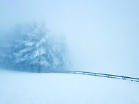 겨울의 양떼목장