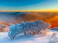 소백산 비로봉 상고대