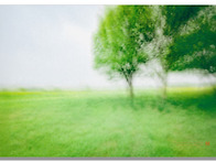 나무가 있는 풍경