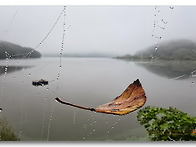 [스마트폰갤러리] 미련일까