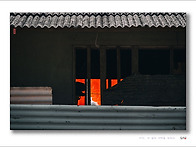 그리움 그리고 기억