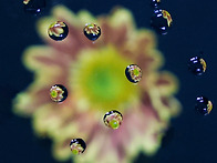 부유하는 작은 우주