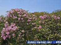 신불산,,,영남알프스 하늘..