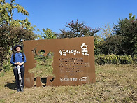 친수공원 댑싸리 축제장