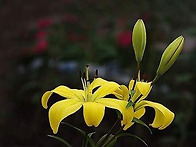 목요 인사.