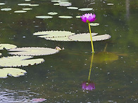 화요 인사.