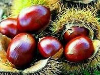 수요 인사.
