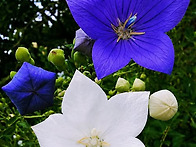 수요 인사.