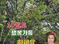10월도 행복이 가득하세요..
