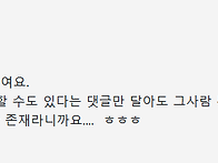 [축구대표팀 분란책임] 손..