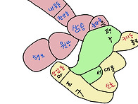 잘계셨어요 오래간만입니다..