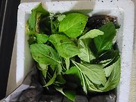 수정산야님
