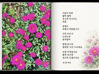 한가위에