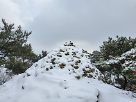 壬寅年 설에 雪내려 온다