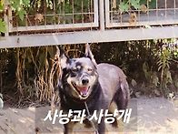 노르까후손