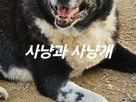 사냥개의 흔적