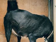 간만에 계획번식