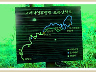 2022년도 7월 24일(일) ..