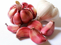 몸속의 노폐물을 ..