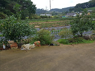 송산면 상거리 전원주택지..