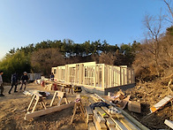 도시생활 정리후 ..