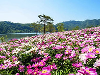 "출렁다리를 건너..