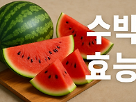 수박의 효능