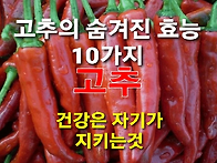 고추의 숨겨진 효..