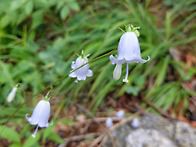 설악산,대청봉(8번)