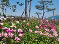 영천 생태지구공원
