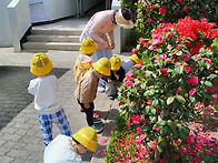 4월 24일 - 꽃구..