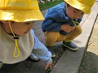 4월 24일 - 봄나..