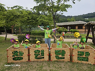 5월 23일 - 단감..