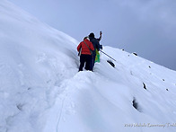 포토앨범 2 (day10-15..