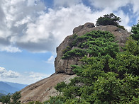청강님 사진 (윗새..