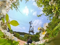 월영산 8